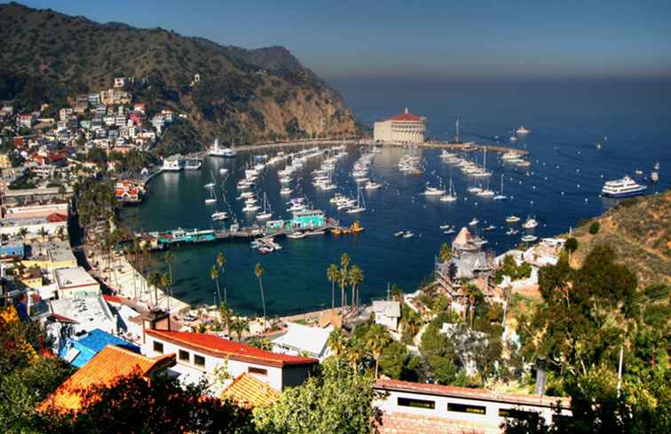 Fuga romantica per l'isola di Catalina / California