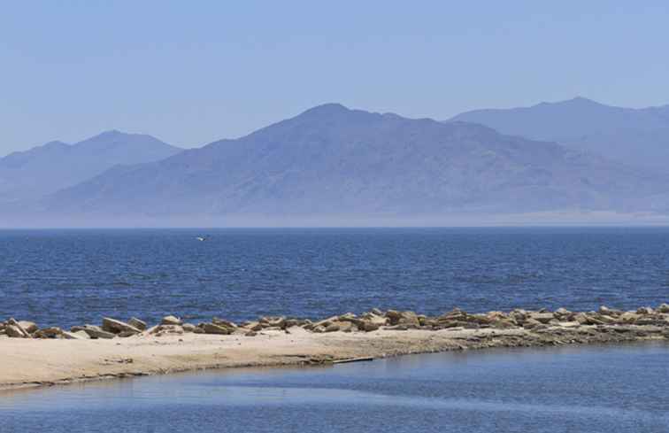 Salton Sea / Californië