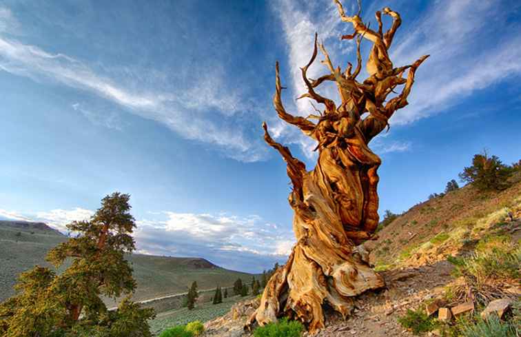 Lugares escénicos en la belleza natural de California / California