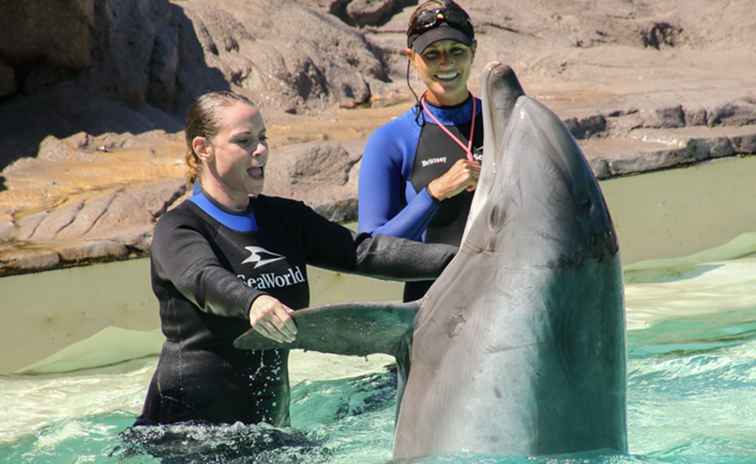 Sea World San Diego biljetter / kalifornien