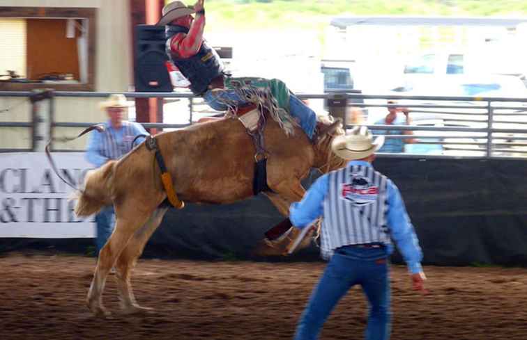 Silver Spurs Rodeo / Florida