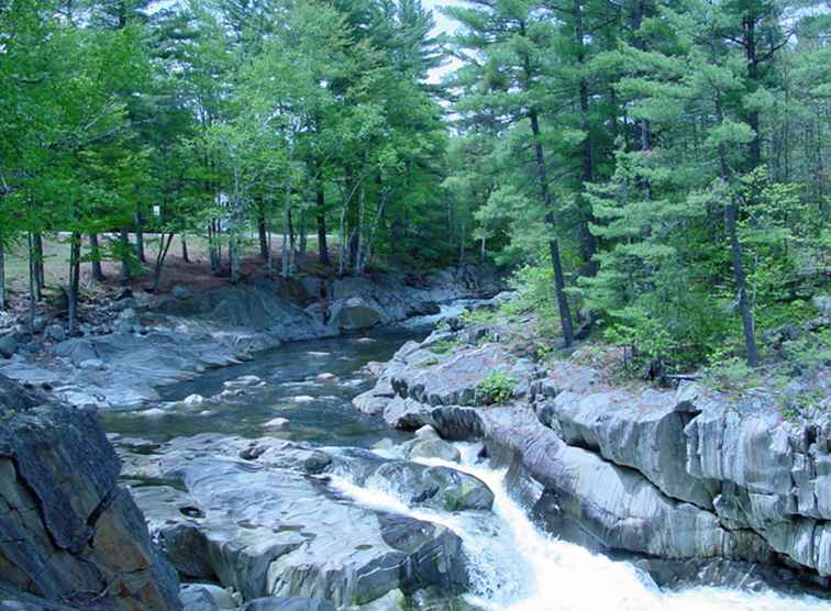 Swift River Goldrausch / Maine