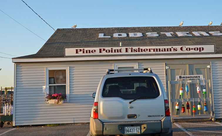 Le meilleur endroit pour acheter du homard du Maine en direct… pas cher! / Maine
