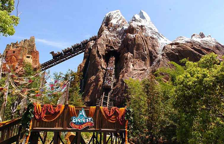 The Thrill of Expedition Everest / Florida