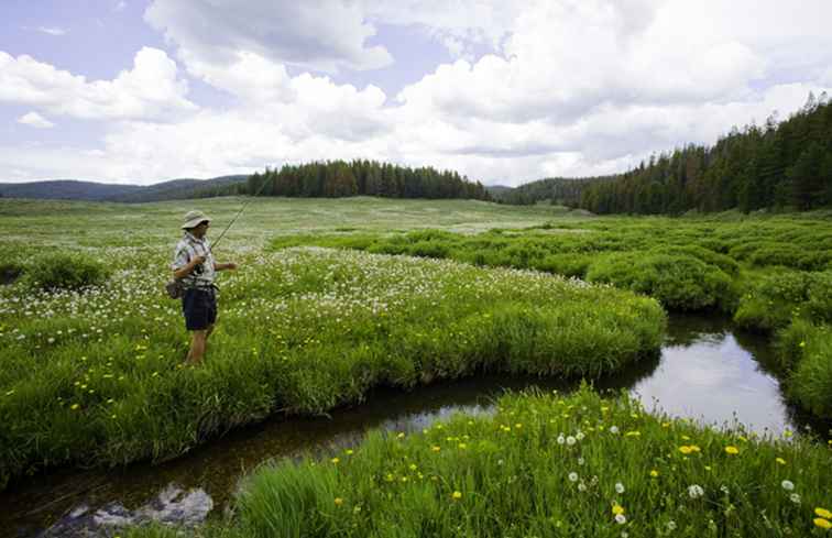 De top 9 bestemmingen voor vissen in Colorado