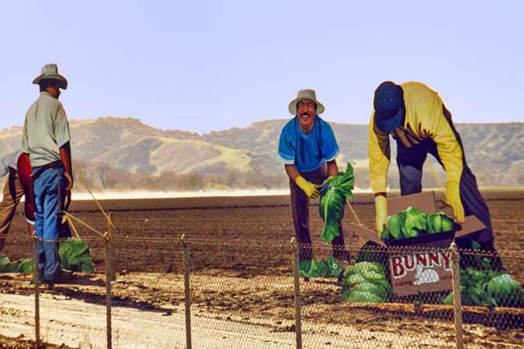 Cose da fare a Salinas, in California per un giorno o un fine settimana / California