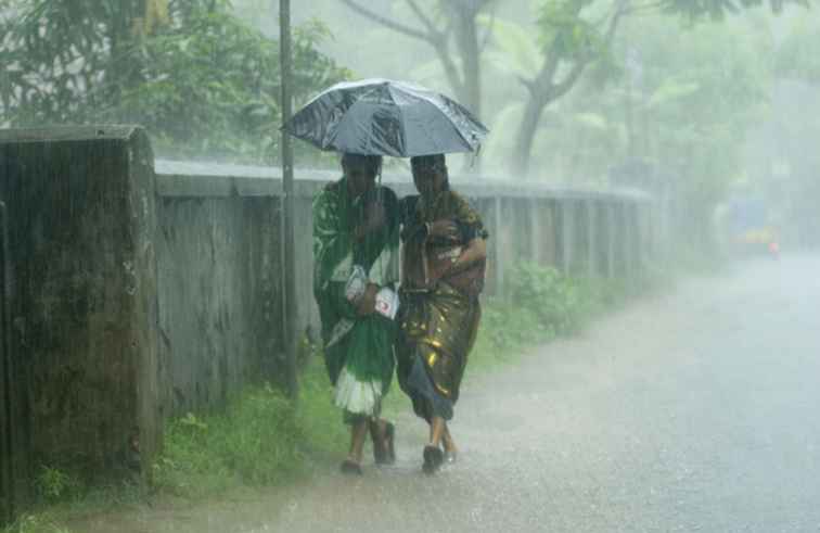 Tips om te voorkomen dat u ziek wordt tijdens het Monsoon-seizoen in India / 