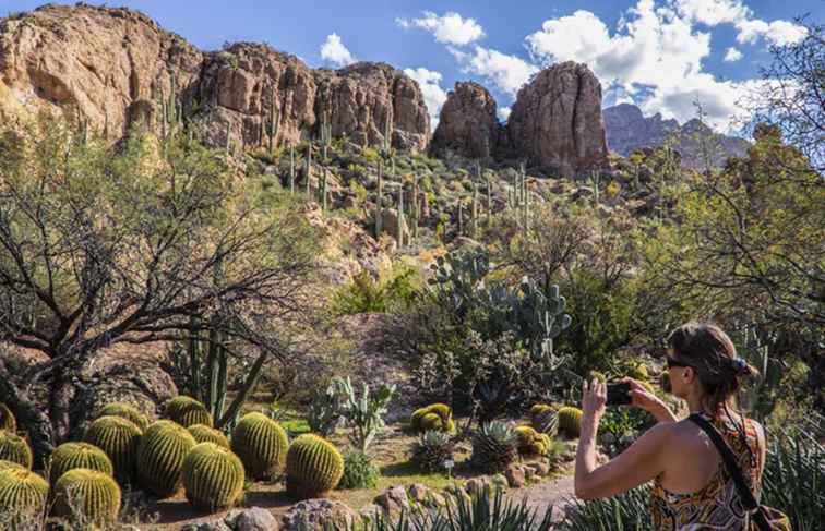 Top 10 van activiteiten en geschenken voor Vaderdag in de regio Phoenix / Arizona