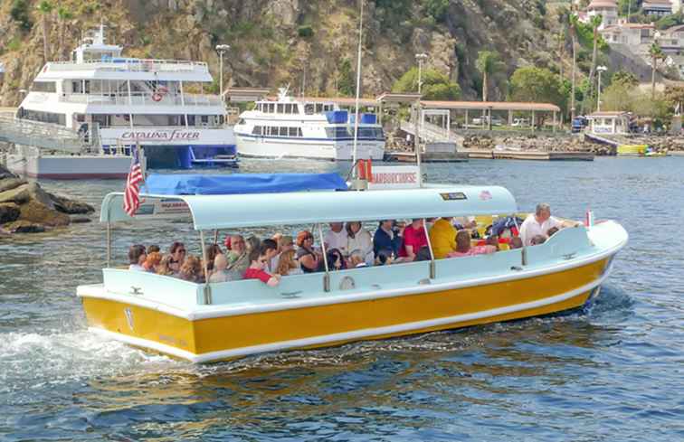 Le 10 migliori cose da fare a Catalina Island / California