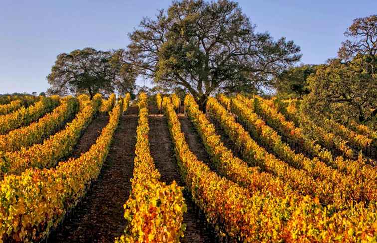 Meilleurs vignobles de la vallée de Sonoma / Californie