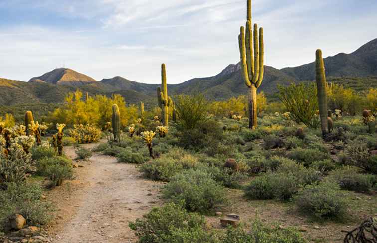 Reisezeiten von Scottsdale nach Phoenix und anderen Städten in Arizona / Arizona