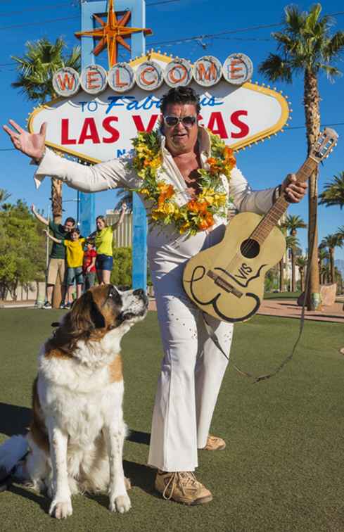 Resa med din hund i Las Vegas? / Nevada