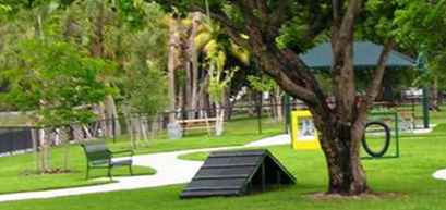 Tropischer Park in Miami