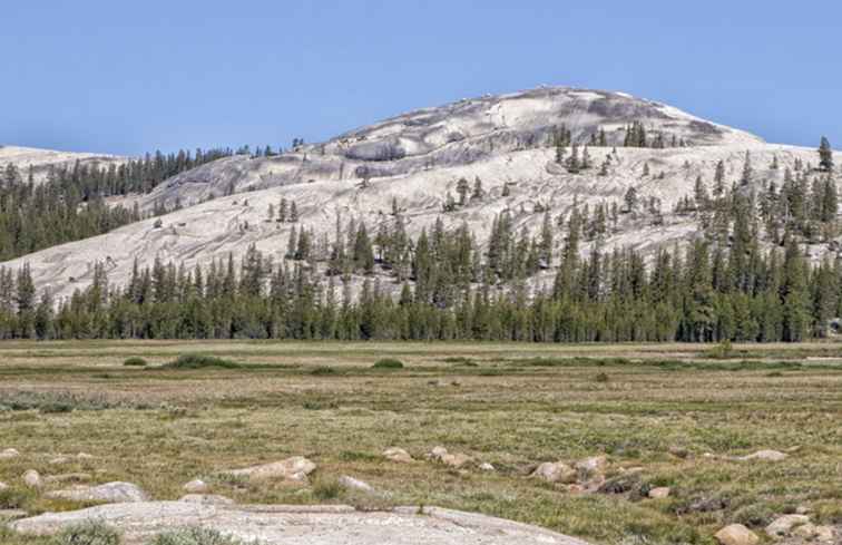 Tuolumne Meadows Un viaggio che vale la pena visitare Yosemite / California