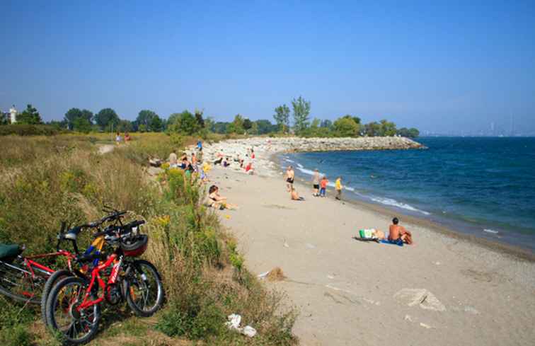 Utilisation des rapports de qualité des eaux de plage de Toronto