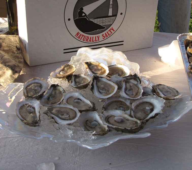 Virginia Oysters (Regiones, Cosecha, Festivales y más)