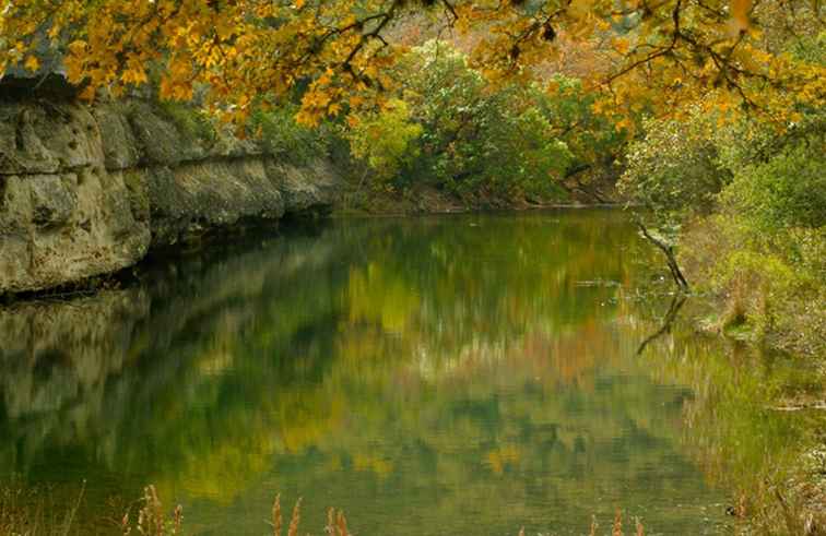 Een bezoek aan het natuurgebied Lost Maples State / Texas