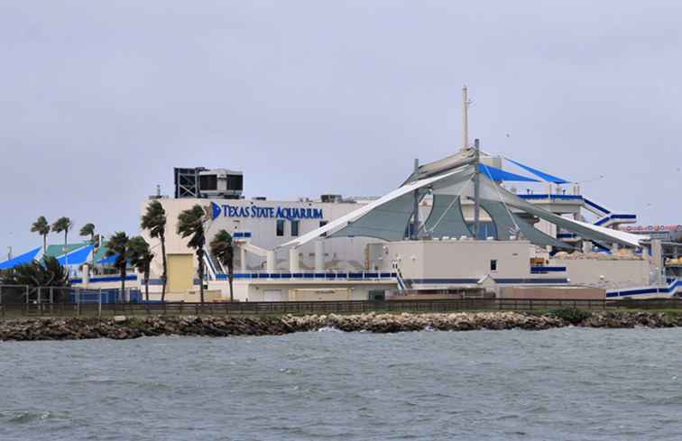 Visitando el Acuario Estatal de Texas / Texas