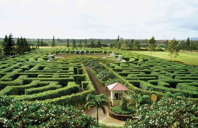 Guía del visitante a la plantación de Dole en Oahu / Hawai