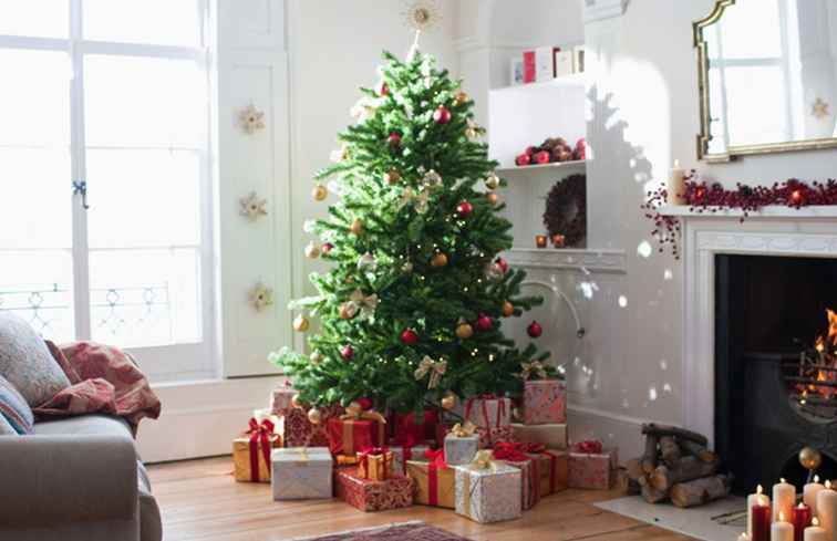 Möchten Sie Ihren Weihnachtsbaum länger halten?