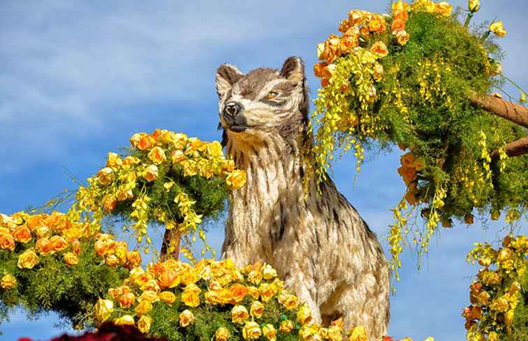 Beobachten die Rose Parade die billige und einfache Art / Kalifornien