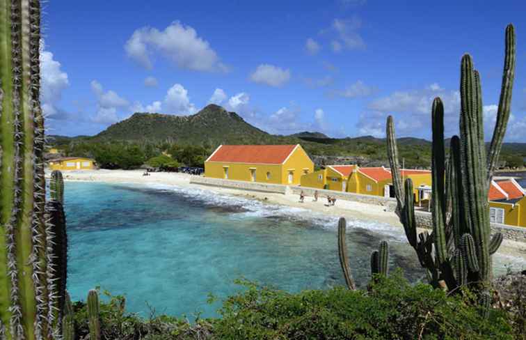 Welke talen worden gesproken in het Caribisch gebied? / 