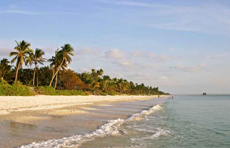 Cómo es el clima en Naples, Florida / Florida