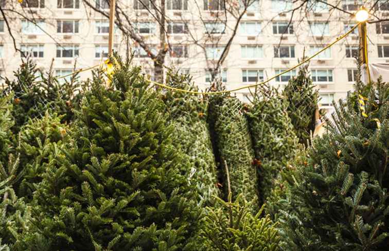Wo man einen wirklichen Weihnachtsbaum in NYC kauft / New York