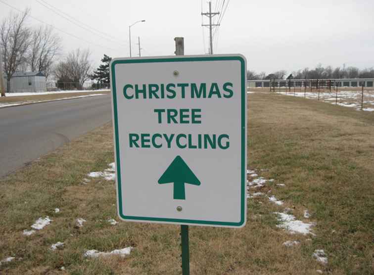 Dove riciclare alberi di Natale ad Atlanta, in Georgia