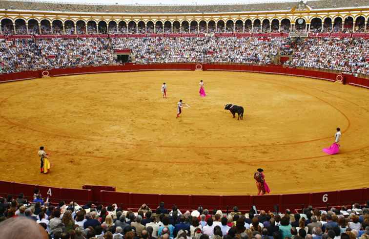 Wo kann man Stierkampf in Valencia sehen? / Spanien