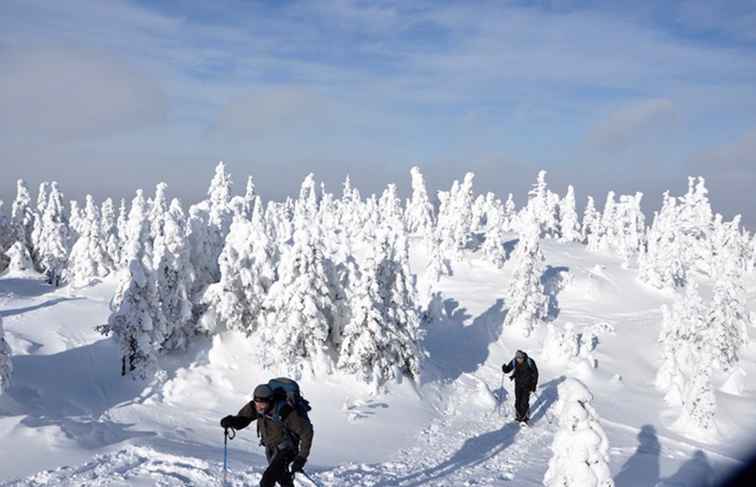 Aventuras de invierno con raquetas de nieve Valle de los fantasmas de Quebec / 
