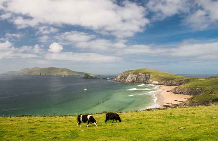 10 cose da evitare quando si visita l'Irlanda / Irlanda