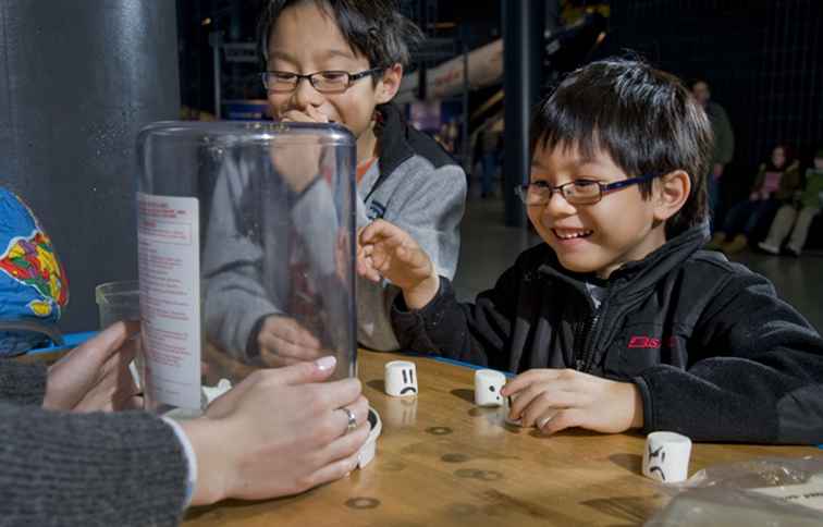 12 Musea voor kinderen in het gelijkstroomgebied / Washington, D.C..