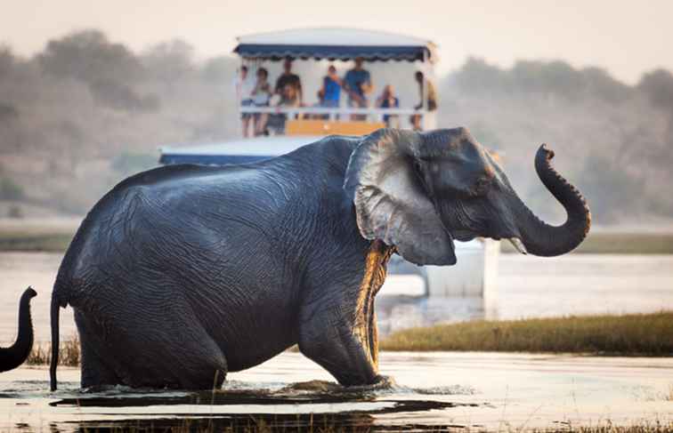 5 de los mejores recorridos en barco y safaris africanos / África y Oriente Medio