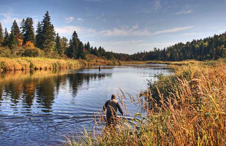 5 van de beste RV-parken in New Brunswick / 