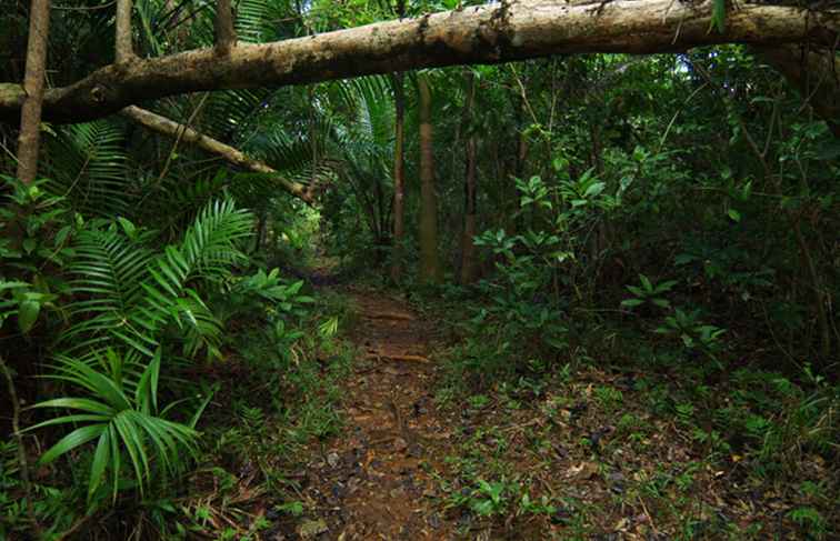 7 cosas aventureras para hacer en Cuba