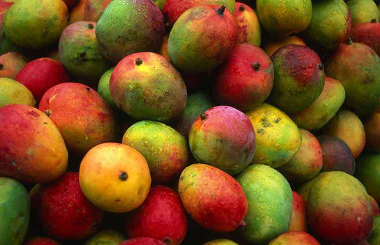 Una guía para las frutas tropicales de Costa Rica