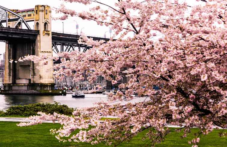 Een gids voor een bezoek aan Vancouver in maart / Vancouver