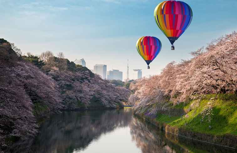 En japansk böna-kasta festival? Inte så dumt som det låter