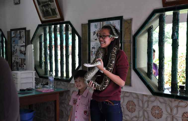 Eine Tour des Schlangen-Tempels in Penang, Malaysia