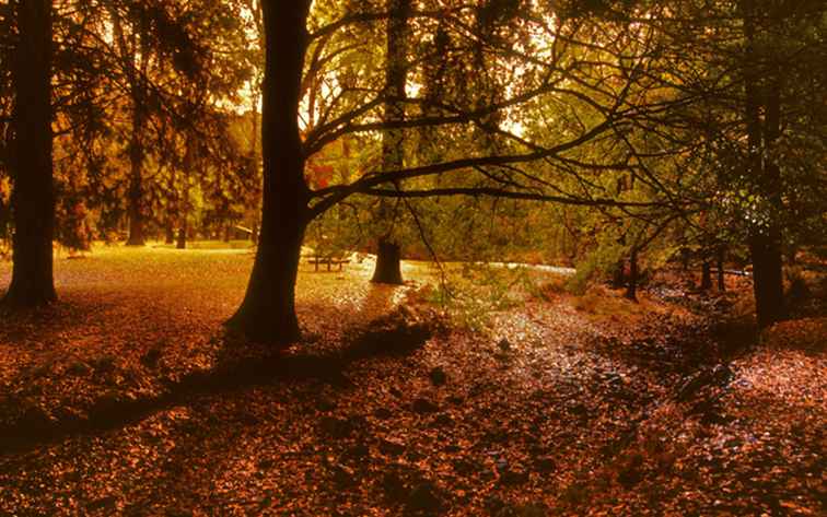 Otoño en Australia / Australia