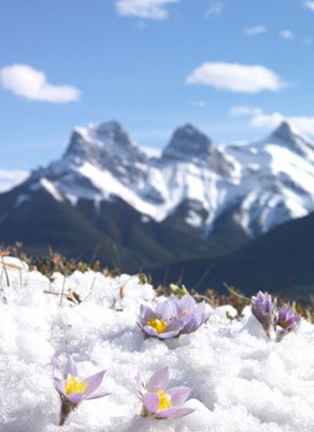 Banff Klimaatinfo voor reisplanning / 