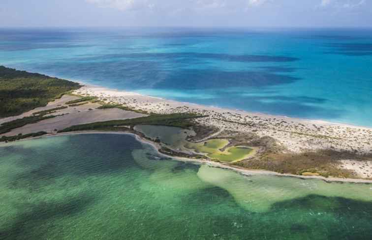 Barbuda's Fregatte Vogelschutzgebiet / Antigua und Barbuda