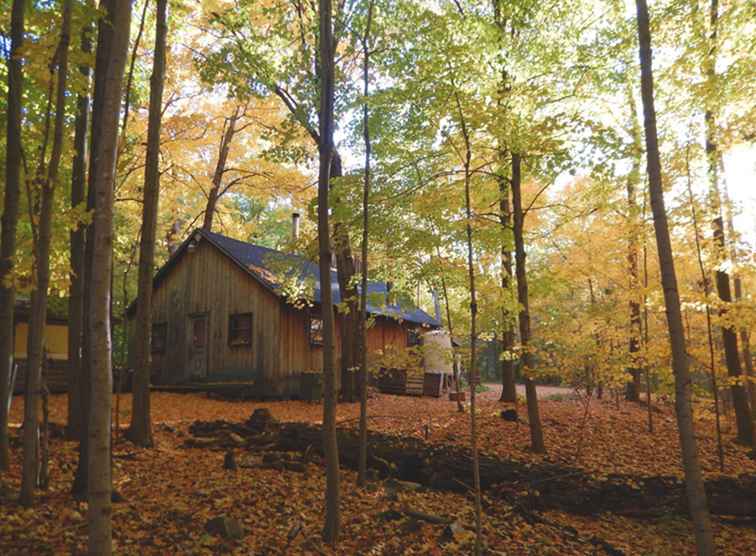 Cap St. Jacques Nature Park / Montreal