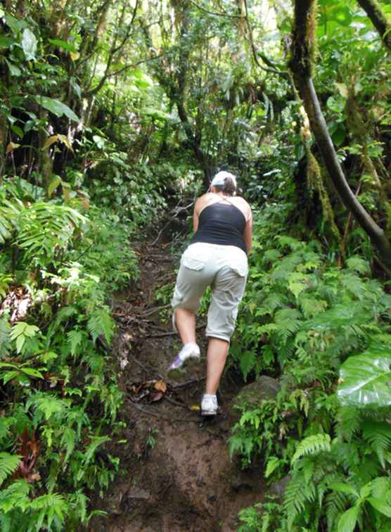 Klettern auf Nevis Peak / St.Kitts und Nevis