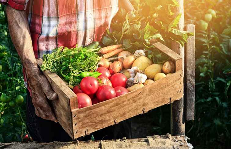 CSA Montreal Organic Food Baskets voors en tegens / Montreal