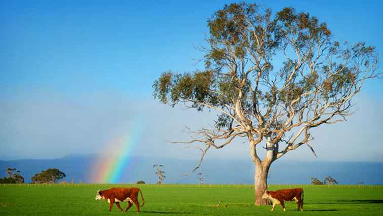 De kleuren van Australië onderzoeken / Australië