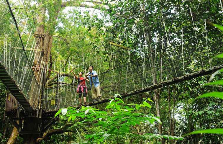 S'amuser sur les sentiers de randonnée du parc national de Penang / Malaisie