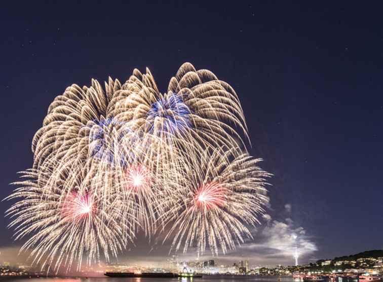 Fuochi d'artificio a Seattle e in altre città occidentali di Washington il 4 luglio / Washington