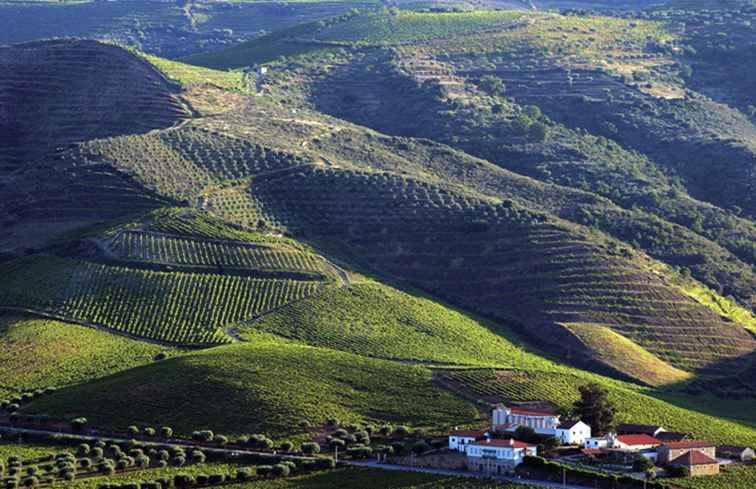 Foz Côa | Guide till att besöka den arkeologiska parken i Portugal / portugal